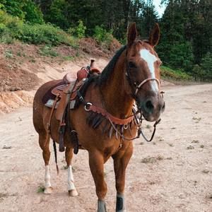 Meet your Posher, Lainie